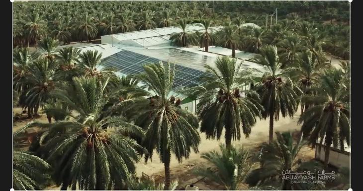 1675932989751391.png 微信图片_202302091649288.png