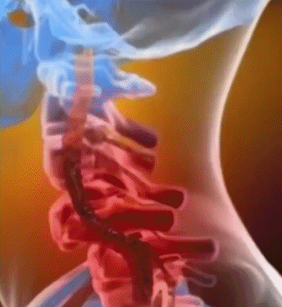 1755196414835263.gif b3b917b51ae438d119bd261dc6b3a50e.gif